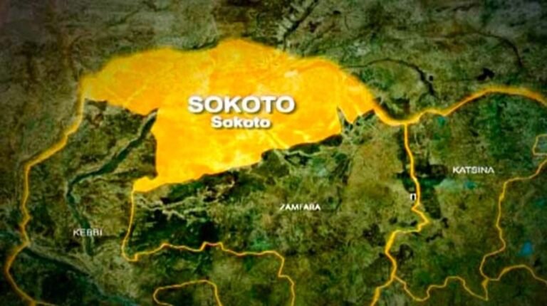 Troops rescue 14 abductees, recover 281 livestock in Sokoto
