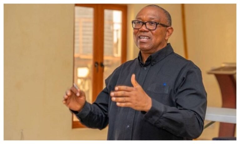 2023 election: INEC worked for ruling party — Peter Obi