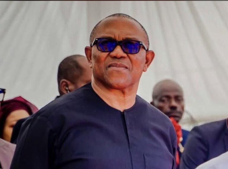 2027: 600 lecturers perfecting rigging plan – Peter Obi Media Office alleges