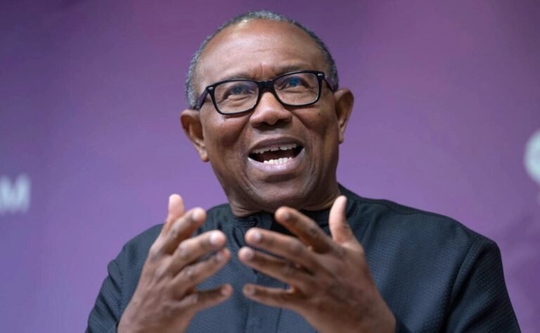 2027 Presidency: There’ll be no new buildings or road Construction in Nigeria if I’m elected — Peter Obi