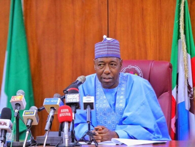 Boko Haram insurgency destroyed 5,000 schools in Borno — Zulum