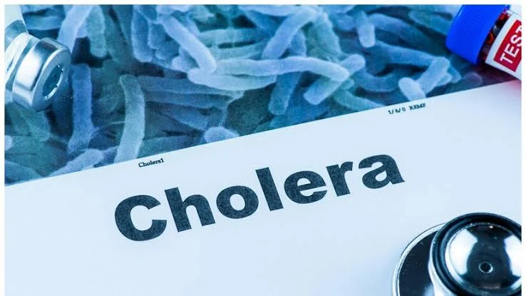 Cholera outbreak kills two inmates in Kano prison Cholera