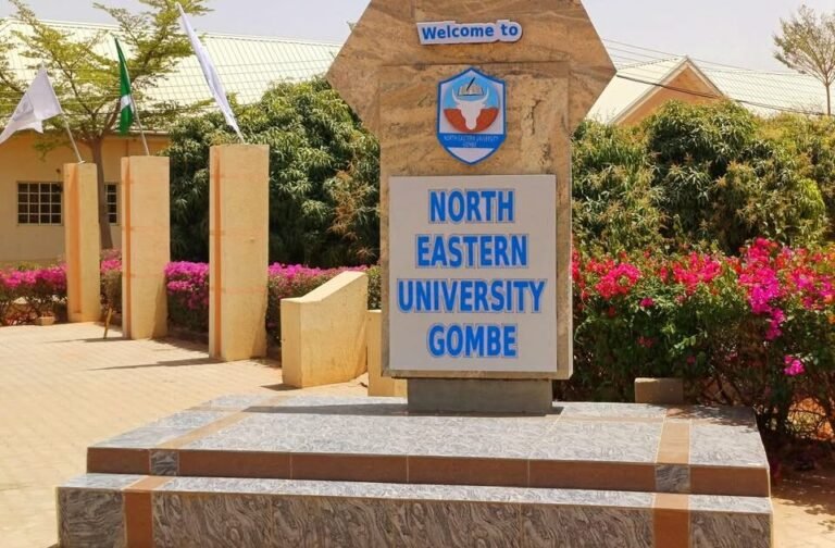 Gombe University Approves 65% Salary Increase for Staff Gombe University Approves 65% Salary Increase for Staff