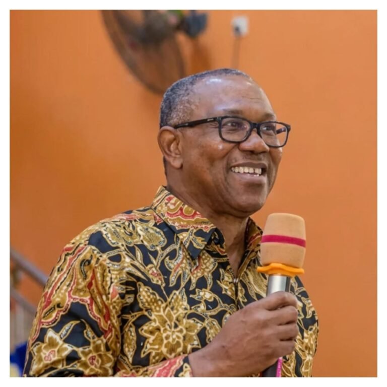I’ll never abuse Tinubu, he has my respect – Peter Obi