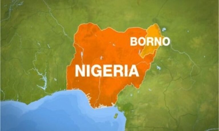 Insecurity: Over 1,400 schools destroyed, 2,295 teachers killed in North-East — Borno govt