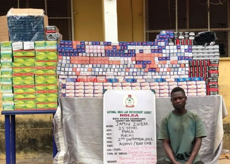 NDLEA destroys five cannabis farms, arrests three in Edo NDLEA destroys five cannabis farms, arrests three in Edo