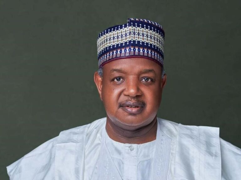 Nigeria’s economy too small to meet development needs — Bagudu