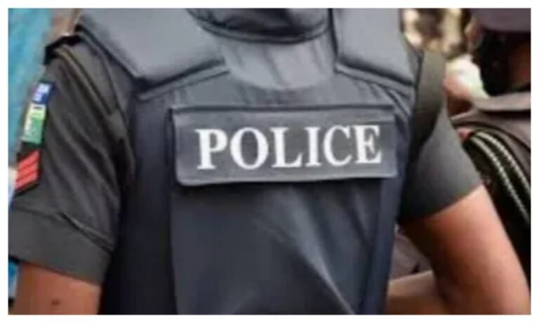 Police neutralise four suspected kidnappers, rescue two victims in Kaduna