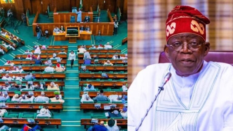 Reps ask Tinubu to address rising insecurity, youth restiveness