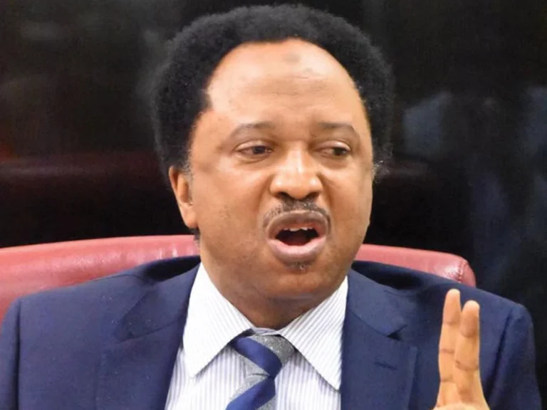 Senator Sani faults FG’s $700bn mineral deal with US
