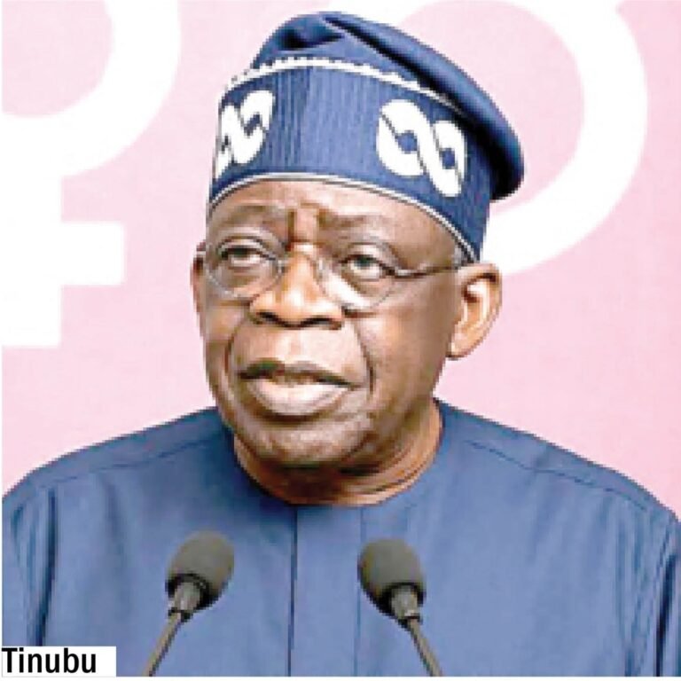 Tinubu meets Bollore in Paris over investment in creative, digital economy