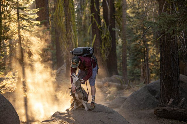 Tips For Hiking With Your Dog In The Fall Tips For Hiking With Your Dog In The Fall