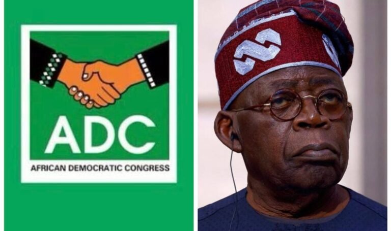 ‘Is SGF now Commander-in-Chief?’ ADC questions Tinubu, Shettima’s absence