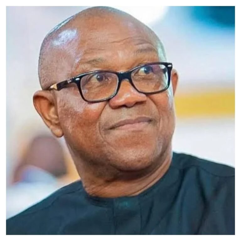2027: I’m not saint – Peter Obi