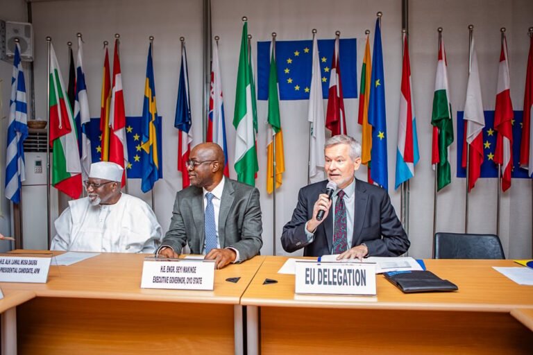 2027: Makinde meets EU ambassador, European envoys in Abuja