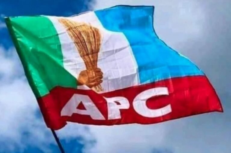 2027: Niger APC targets 2m votes for Tinubu, inaugurates 525-member council