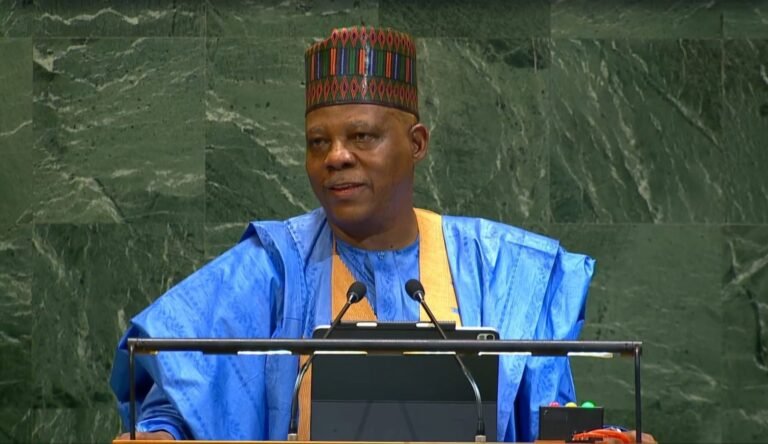 2027: Reciprocate Tinubu’s support for north – Shettima