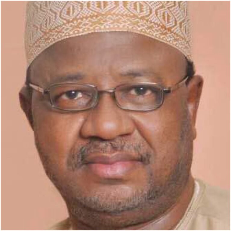 2027 campaign one-sided, only APC on ground, others are on social media – Umar Ardo