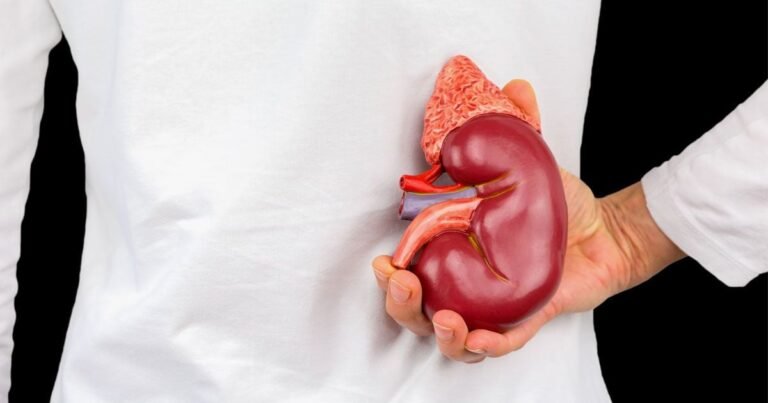 Kidney transplants
