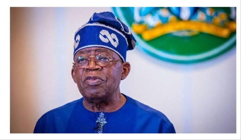 Economic hardship: Tinubu needs encouragement, not criticism – Oyintiloye
