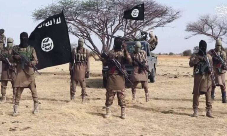 ISWAP fighter flees enclave, surrenders with wife, son in Borno