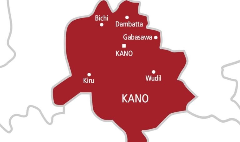 Kano shuts nine private schools over failure to renew registration