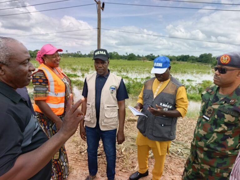 NEMA assesses flood impact in Ebonyi communities