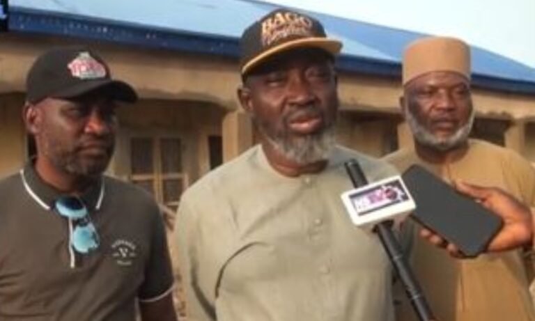Niger committee faults poor workmanship, delays in ward development projects
