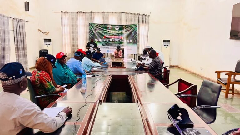 Niger govt prioritises mental care integration into primary health centres