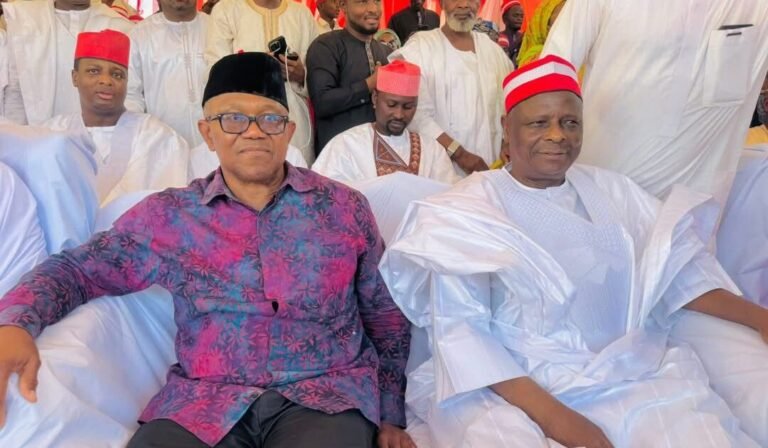 OK Movement faults NDC campaign council list