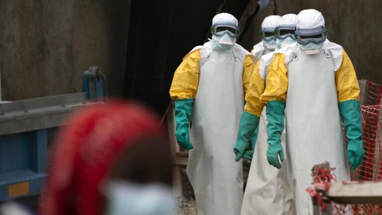 ebola virus in dr congo