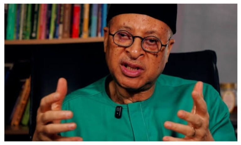 Pat Utomi reminds Nigerians of Tinubu’s promise on constant electricity ahead 2027