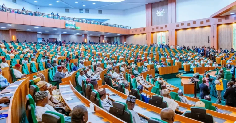 Reps quiz DMO, TCN over N54.57tn borrowing, N446.7bn debt