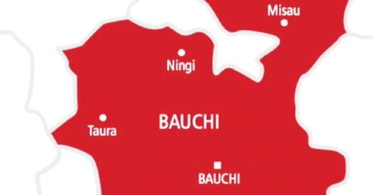 Stepmother, 19-year-old arrested over Bauchi children’s deat Stepmother, 19-year-old arrested over Bauchi children’s deat