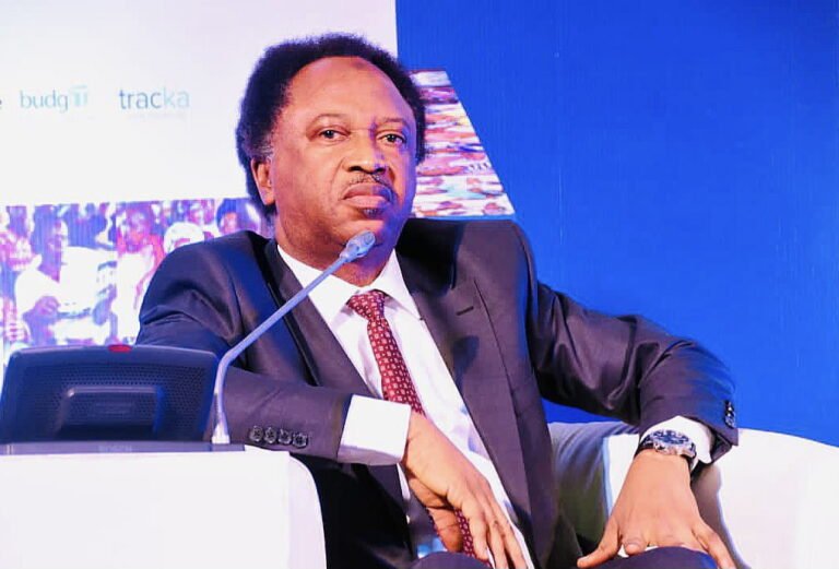 ‘They’ll always remind you of your roots’ – Shehu Sani reacts to racism comment against Badenoch