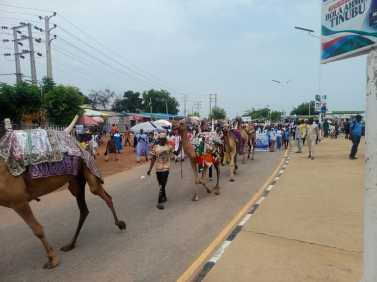 Tourism remains one of Adamawa’s IGR hubs — Commissioner